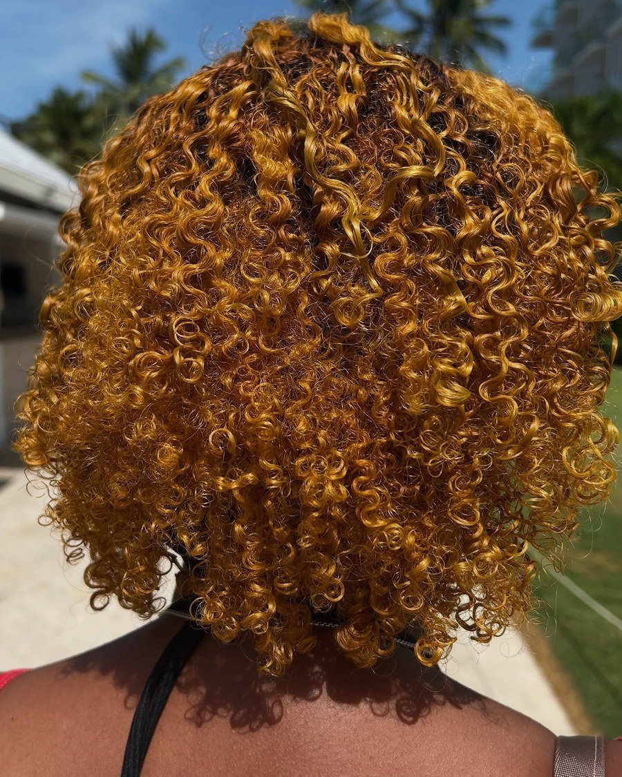 Honey-Toned Afro Curls - fall hairstyles for black women