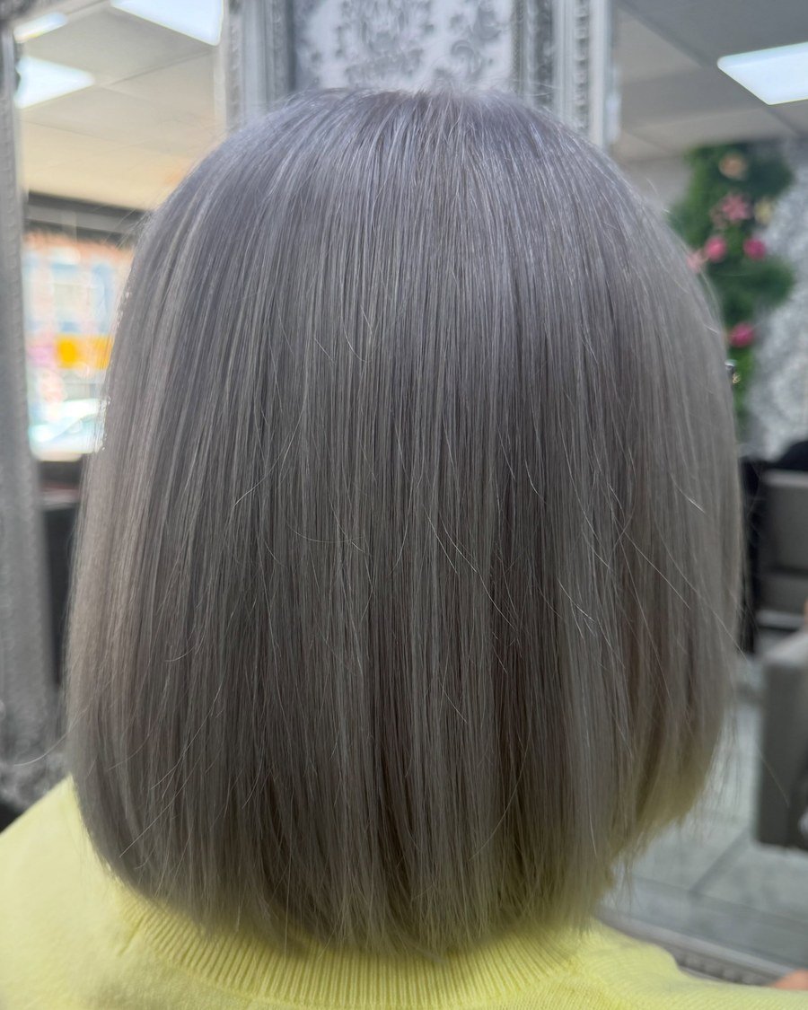 Steel Gray - gray hair color